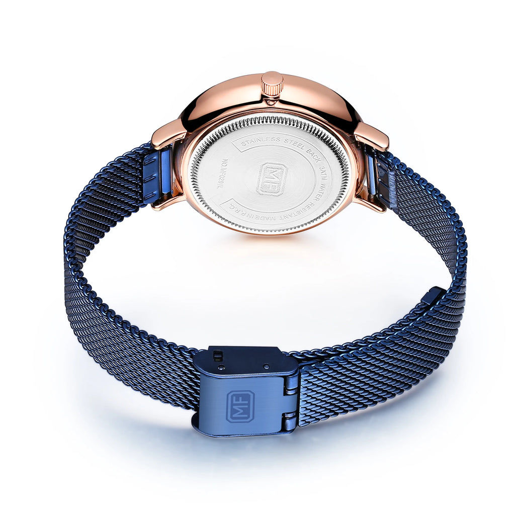 The Aurora Mesh - Gradient Dial Stainless Steel Watch