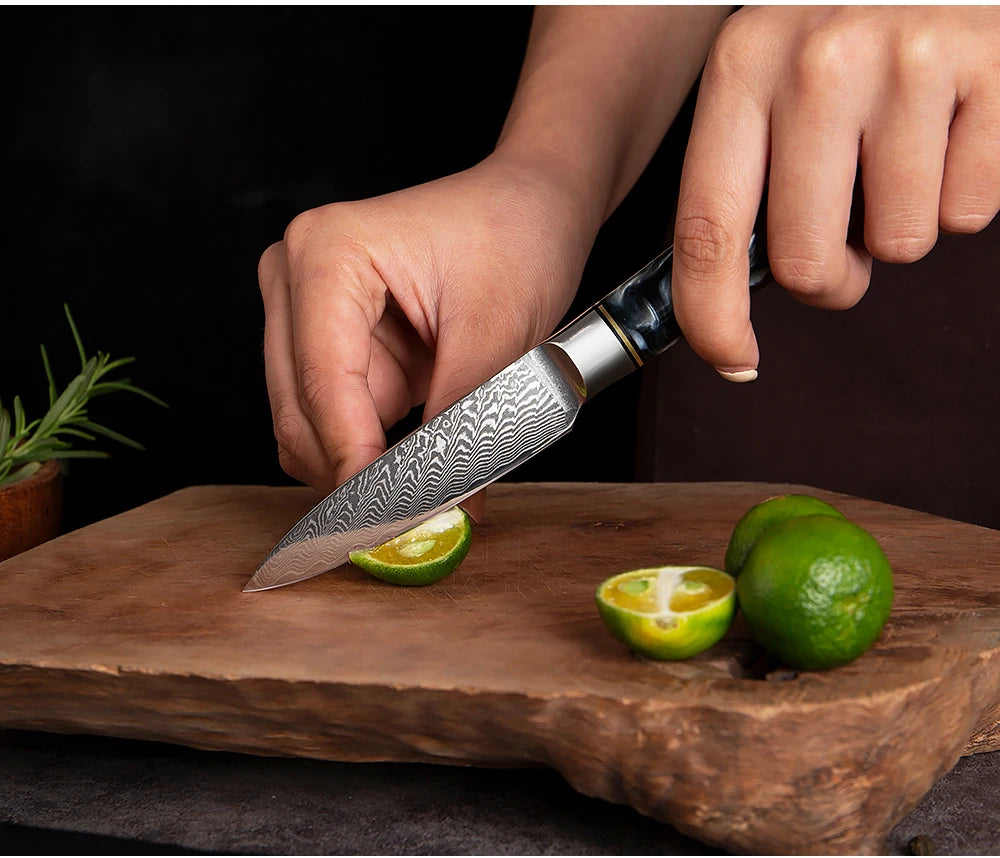 Damascus Steel Kitchen Knives 1-9PC Set XITUO Japanese chef knife Cleaver Bread Knife Resin and wooden Ergonomics handle Sharp