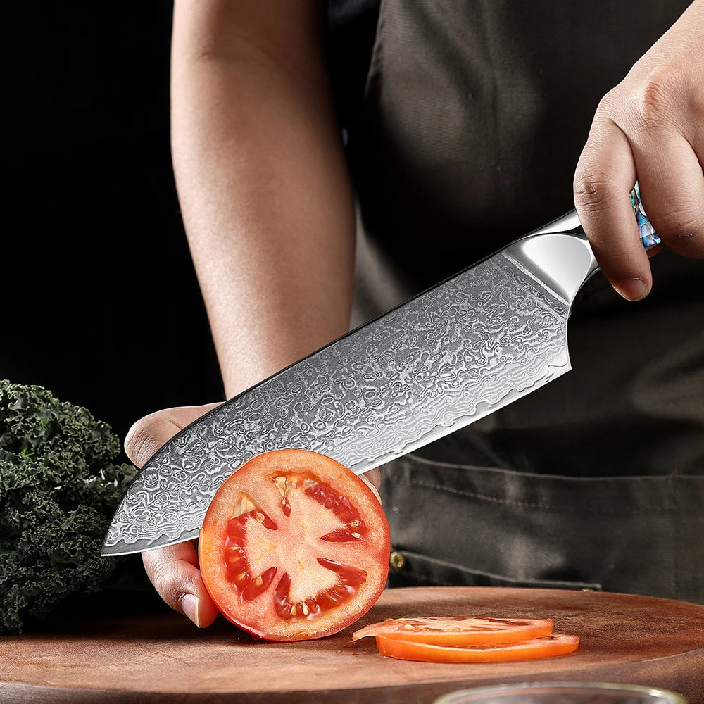 Extremely Sharp Damascus Steel Kitchen Knife Set 1-5Piece Santoku Knife,Utility Knife, Cleaver Knife Acrylic Abalone Handle