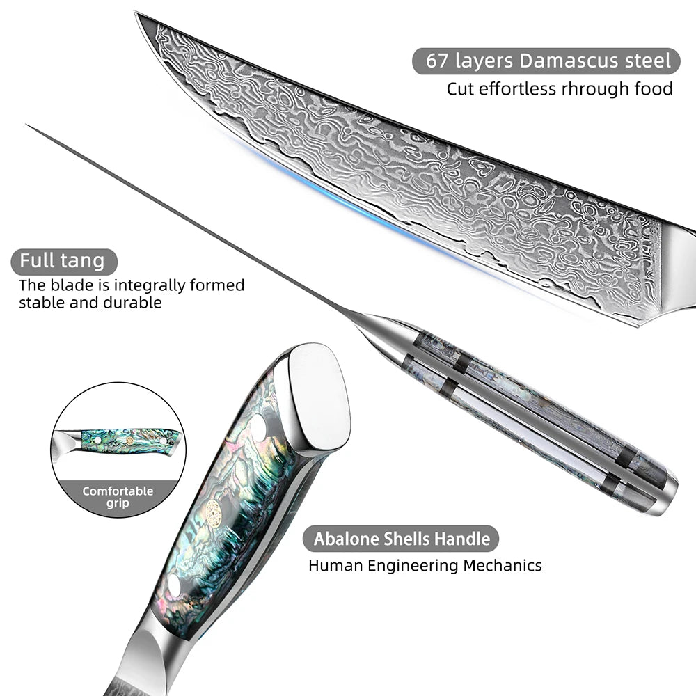 Extremely Sharp Damascus Steel Kitchen Knife Set 1-5Piece Santoku Knife,Utility Knife, Cleaver Knife Acrylic Abalone Handle