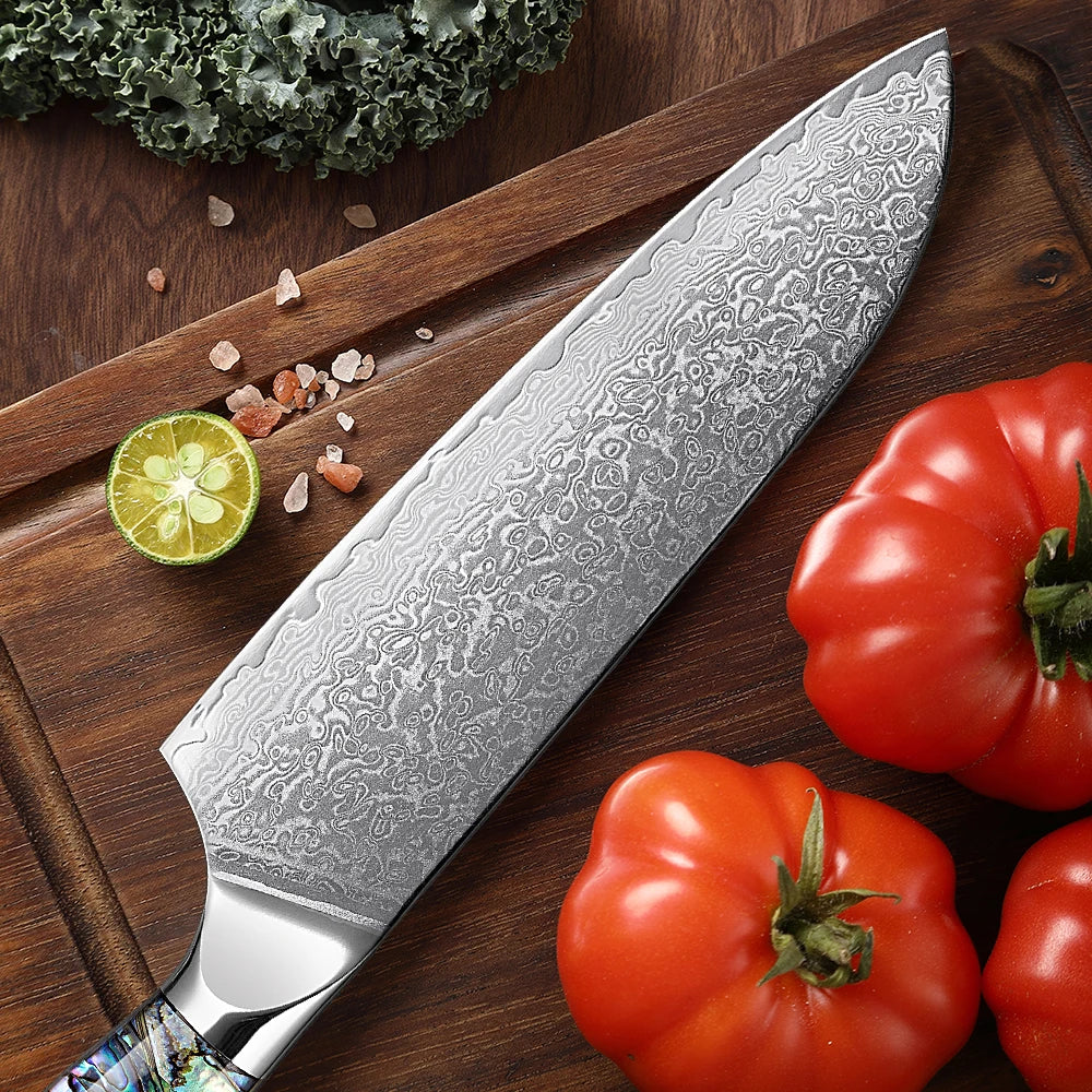 Extremely Sharp Damascus Steel Kitchen Knife Set 1-5Piece Santoku Knife,Utility Knife, Cleaver Knife Acrylic Abalone Handle