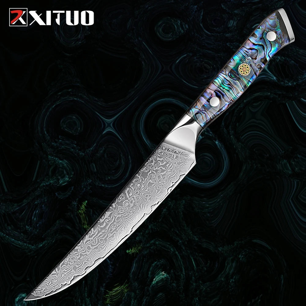 Extremely Sharp Damascus Steel Kitchen Knife Set 1-5Piece Santoku Knife,Utility Knife, Cleaver Knife Acrylic Abalone Handle