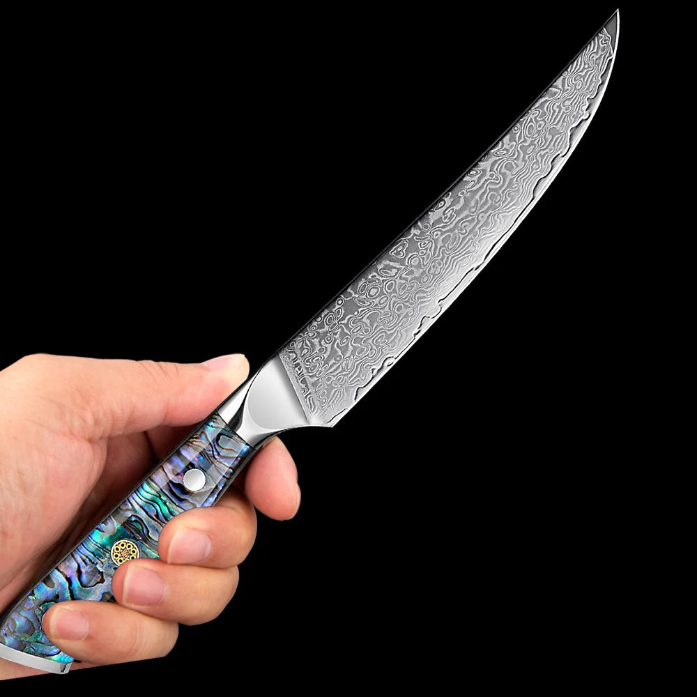Extremely Sharp Damascus Steel Kitchen Knife Set 1-5Piece Santoku Knife,Utility Knife, Cleaver Knife Acrylic Abalone Handle