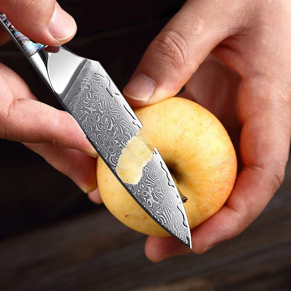 Extremely Sharp Damascus Steel Kitchen Knife Set 1-5Piece Santoku Knife,Utility Knife, Cleaver Knife Acrylic Abalone Handle