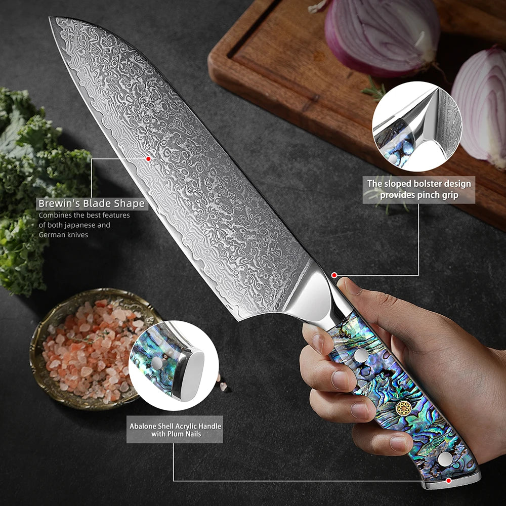Extremely Sharp Damascus Steel Kitchen Knife Set 1-5Piece Santoku Knife,Utility Knife, Cleaver Knife Acrylic Abalone Handle