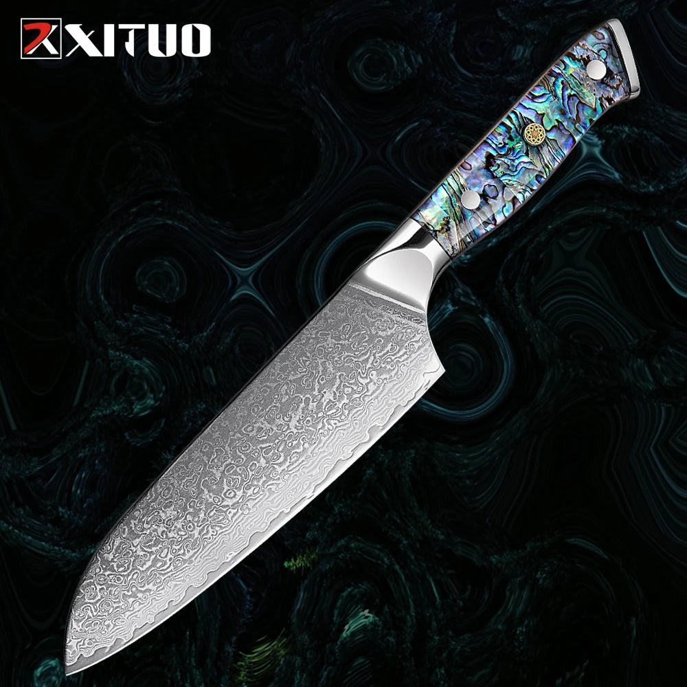 Extremely Sharp Damascus Steel Kitchen Knife Set 1-5Piece Santoku Knife,Utility Knife, Cleaver Knife Acrylic Abalone Handle
