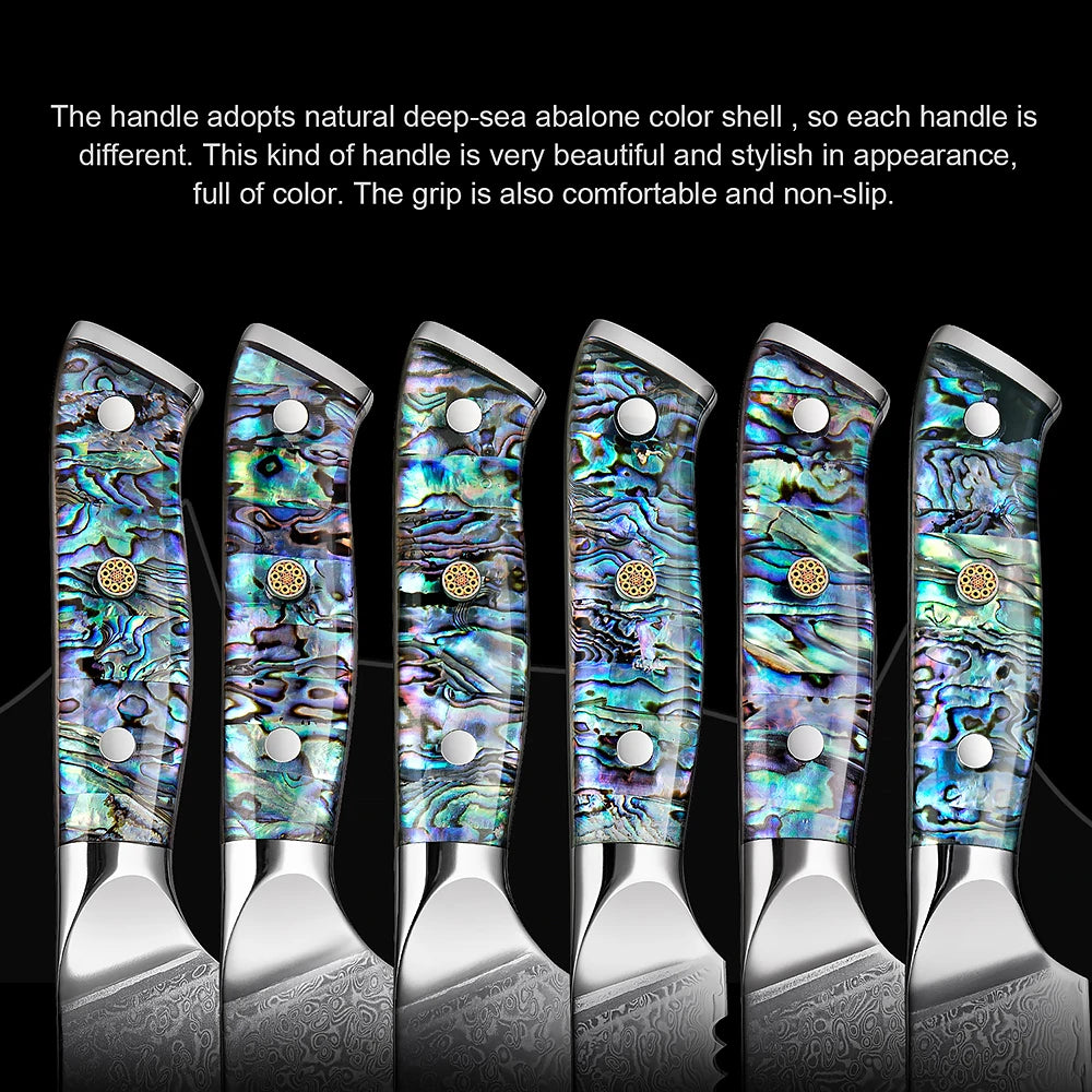 Extremely Sharp Damascus Steel Kitchen Knife Set 1-5Piece Santoku Knife,Utility Knife, Cleaver Knife Acrylic Abalone Handle