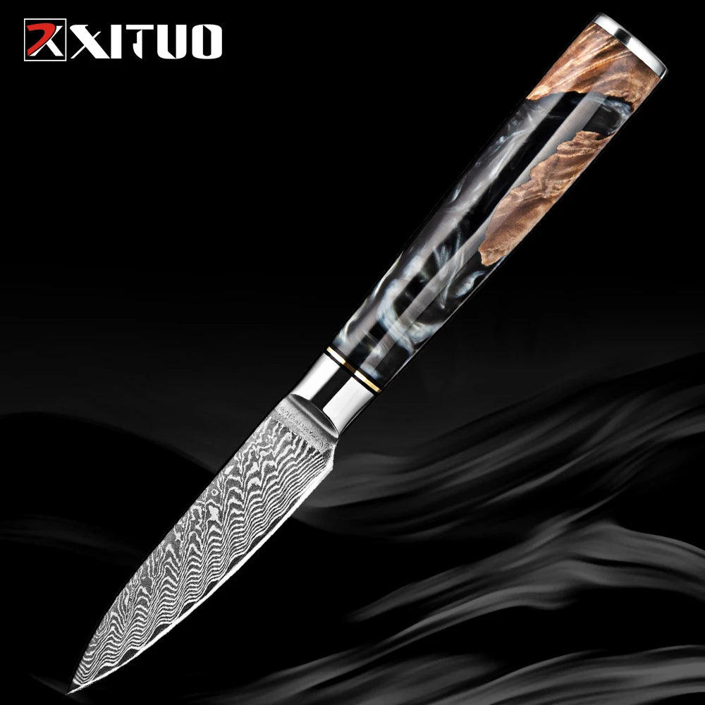 Damascus Steel Kitchen Knives 1-9PC Set XITUO Japanese chef knife Cleaver Bread Knife Resin and wooden Ergonomics handle Sharp